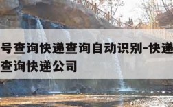 快递单号查询快递查询自动识别-快递单号查询自动查询快递公司