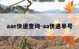 aae快递查询-aa快递单号