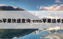 ems苹果快递查询-ems苹果运单查询