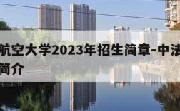 中法航空大学2023年招生简章-中法航空大学简介