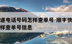 顺丰快递电话号码怎样查单号-顺丰快递电话号码怎样查单号信息