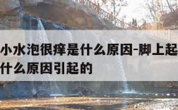 脚上起小水泡很痒是什么原因-脚上起小水泡很痒是什么原因引起的