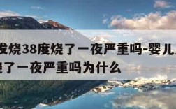 婴儿发烧38度烧了一夜严重吗-婴儿发烧38度烧了一夜严重吗为什么