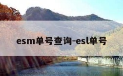 esm单号查询-esl单号