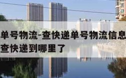 查快递单号物流-查快递单号物流信息查询圆通快递查快递到哪里了